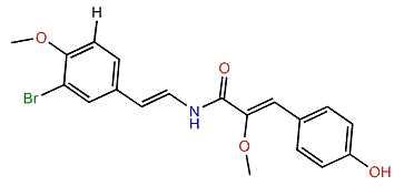 Botryllamide D